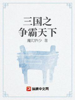三国之争霸天下